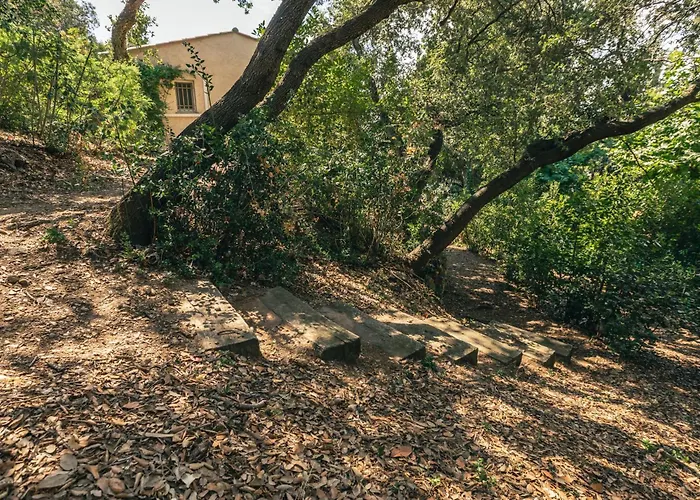 Maxime Villa Sainte-Maxime